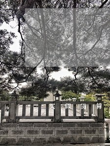 买假货算违法吗