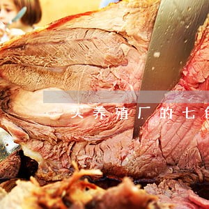 买养殖厂的七色山鸡违法吗 买养殖厂的七色山鸡违法吗