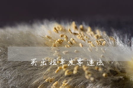 买出租车发票违法 买出租车发票违法