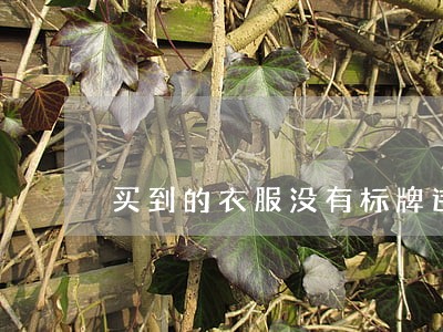 买到的衣服没有标牌违法吗 买到的衣服没有标牌违法吗