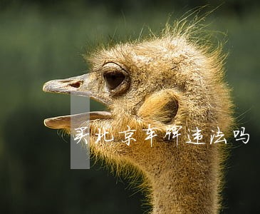 买北京车牌违法吗 买北京车牌违法吗