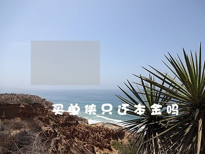 买单侠只还本金吗 买单侠只还本金吗