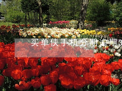 买单侠手机分期逾期3年 买单侠手机分期逾期3年