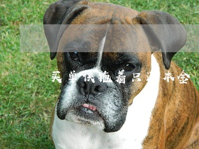 买单侠拖着只还本金 买单侠拖着只还本金