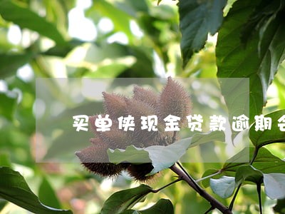 买单侠现金贷款逾期会坐牢吗 买单侠现金贷款逾期会坐牢吗