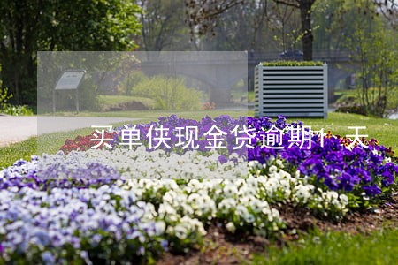 买单侠现金贷逾期1天 买单侠现金贷逾期1天