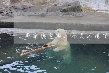 买单侠逾期2个月还清了 买单侠逾期2个月还清了