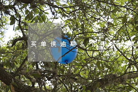 买单侠逾期3个月以上要判刑吗 买单侠逾期3个月以上要判刑吗