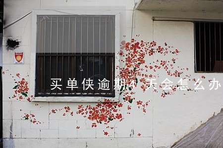 买单侠逾期4天会怎么办 买单侠逾期4天会怎么办
