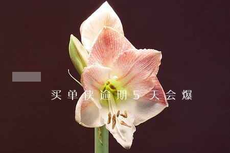 买单侠逾期5天会爆 买单侠逾期5天会爆