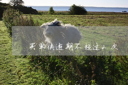 买单侠逾期不超过2次 买单侠逾期不超过2次