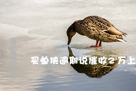 买单侠逾期说催收2万上门费 买单侠逾期说催收2万上门费