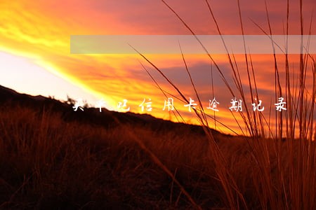 买单吧信用卡逾期记录 买单吧信用卡逾期记录