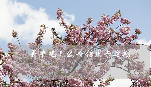 买单吧怎么查信用卡逾期