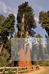 买卖二手汽车钥匙违法吗 买卖二手汽车钥匙违法吗