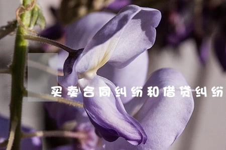 买卖合同纠纷和借贷纠纷审查 买卖合同纠纷和借贷纠纷审查
