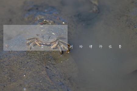买卖合同纠纷律师收费 买卖合同纠纷律师收费