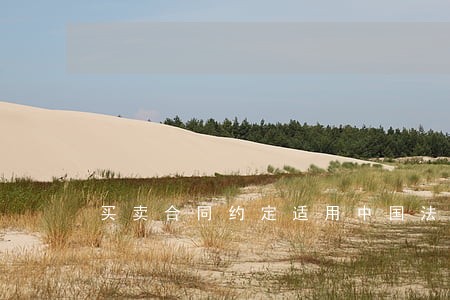 买卖合同约定适用中国法律的 买卖合同约定适用中国法律的