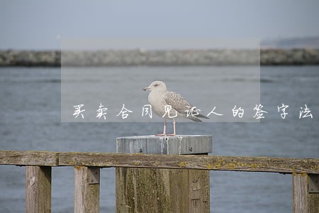 买卖合同见证人的签字法律责任 买卖合同见证人的签字法律责任