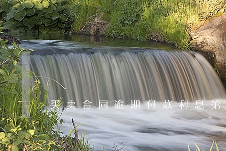 买卖合同逾期付款利息第24条