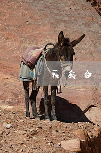 买卖合同逾期利息24 买卖合同逾期利息24