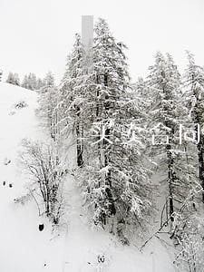 买卖合同逾期支付利息195 买卖合同逾期支付利息195