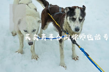 买卖商事合同律师电话号码 买卖商事合同律师电话号码