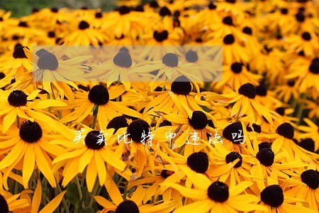 买卖比特币违法吗