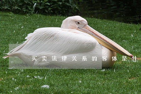 买卖法律关系的客体是什么