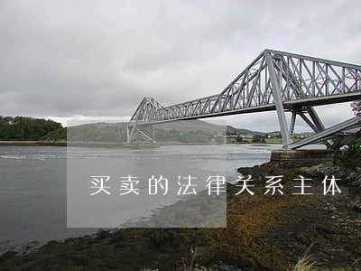 买卖的法律关系主体