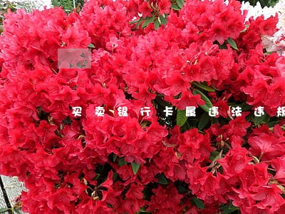 买卖银行卡属违法违规行为 买卖银行卡属违法违规行为