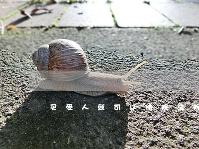 买受人就可以排除法院的执行 买受人就可以排除法院的执行