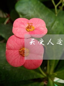 买受人逾期办理贷款 买受人逾期办理贷款