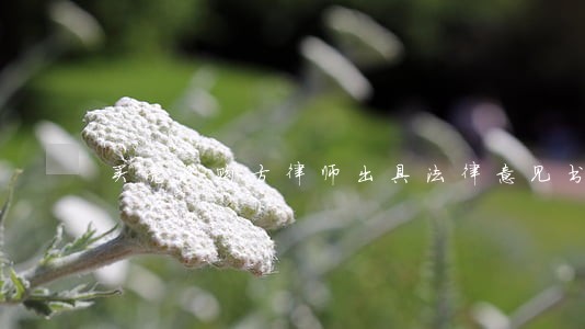 买壳收购方律师出具法律意见书