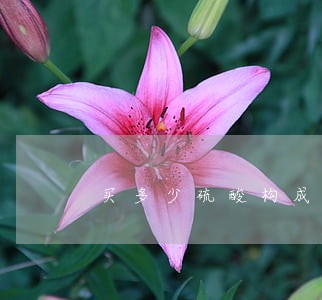 买多少硫酸构成违法 买多少硫酸构成违法