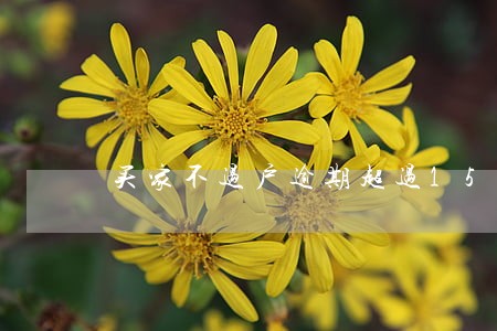 买家不过户逾期超过15日 买家不过户逾期超过15日