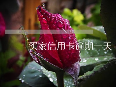 买家信用卡逾期一天 买家信用卡逾期一天