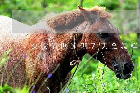 买家借呗逾期7天会怎样 买家借呗逾期7天会怎样