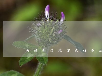 买家向法院要求强制执行过户 买家向法院要求强制执行过户