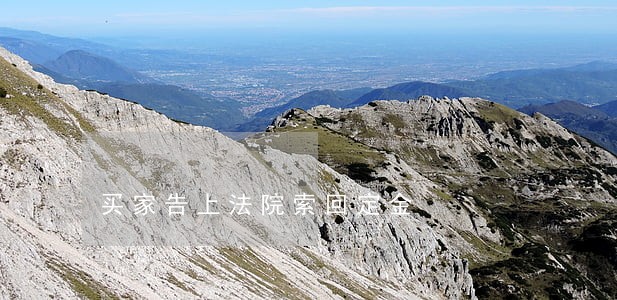 买家告上法院索回定金 买家告上法院索回定金