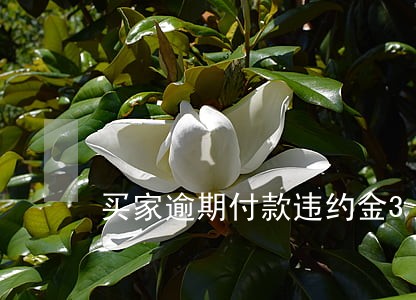 买家逾期付款违约金36万
