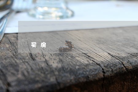 买房 买房