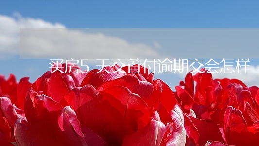 买房5天交首付逾期交会怎样 买房5天交首付逾期交会怎样