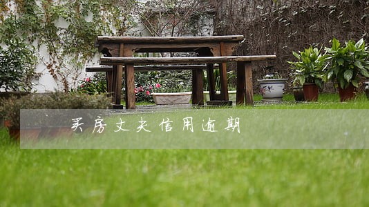 买房丈夫信用逾期 买房丈夫信用逾期