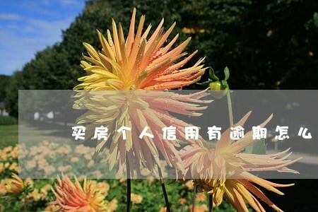 买房个人信用有逾期怎么办