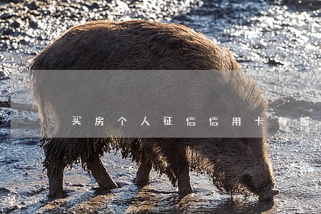 买房个人征信信用卡有逾期 买房个人征信信用卡有逾期