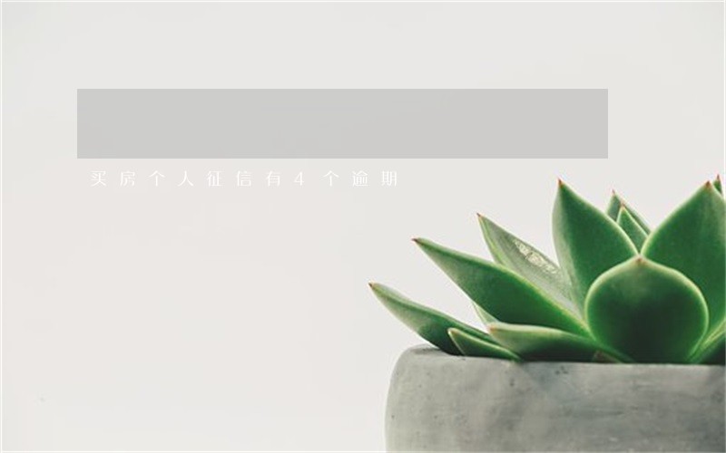买房个人征信有4个逾期 买房个人征信有4个逾期