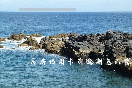 买房信用卡有逾期怎么贷款 买房信用卡有逾期怎么贷款
