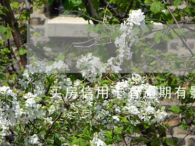买房信用卡有逾期有影响吗 买房信用卡有逾期有影响吗