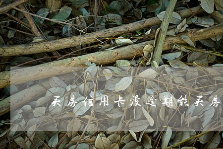 买房信用卡没逾期能买房吗 买房信用卡没逾期能买房吗